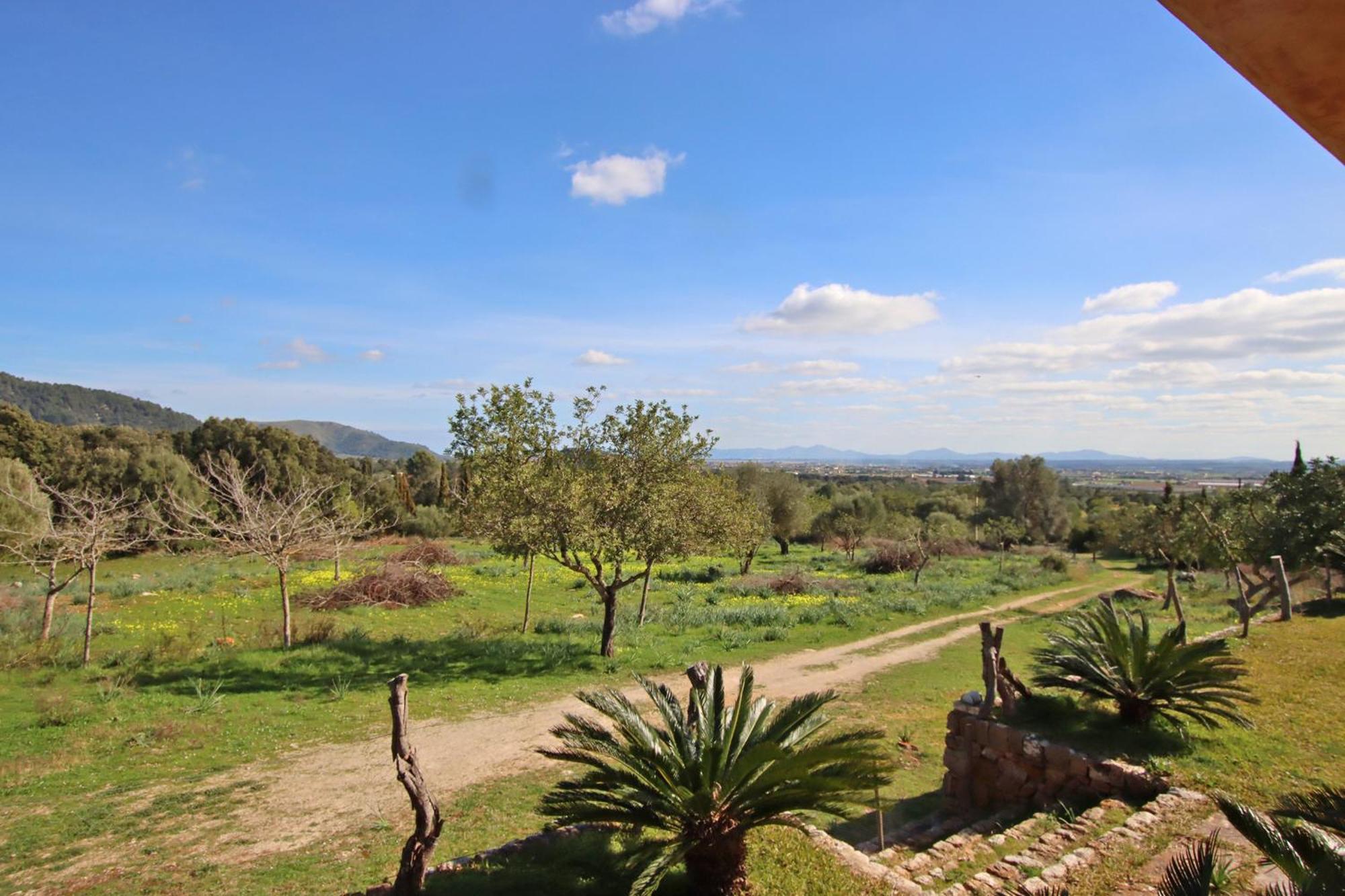Villa Es Bosquet *