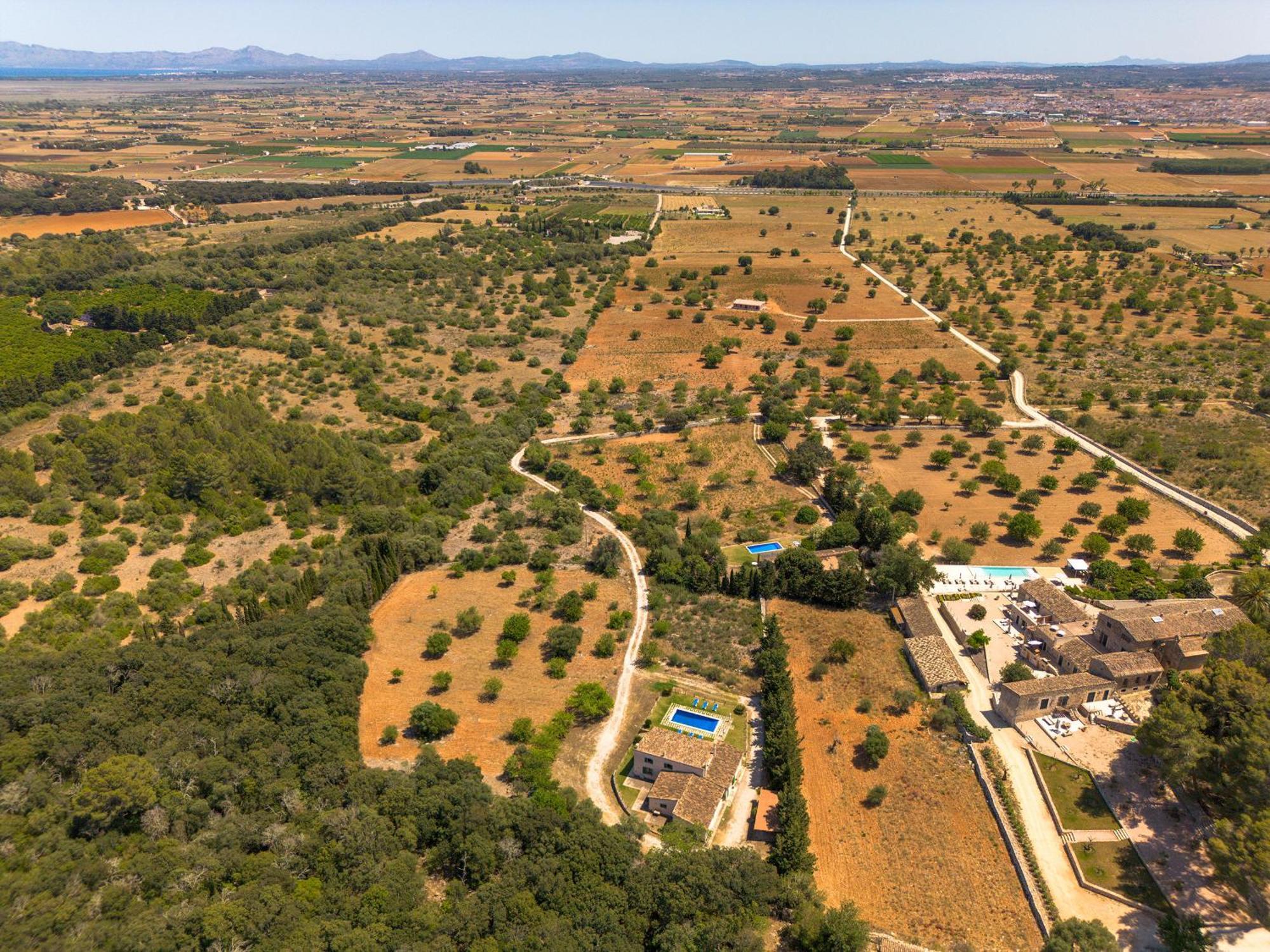 Es Bosquet Crestatx